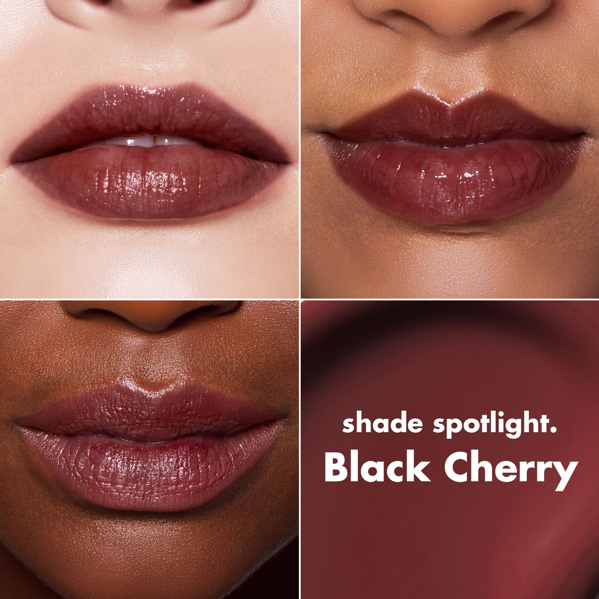 lip-lacquer-b2 0426_EDU_LipLaquer_ShadeChart_BlackCherry.jpg